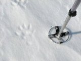 Tracks 3