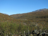 Plnorset 1