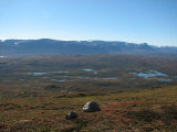 Fjelds 6
