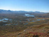 Fjelds 9