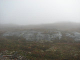 Fog 7