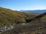 Ravine 5