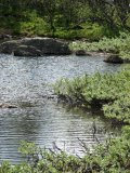 Mudmere 4